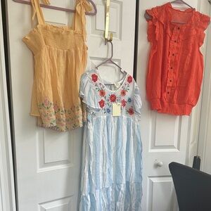 Embroidered Blue and White Midi Dress